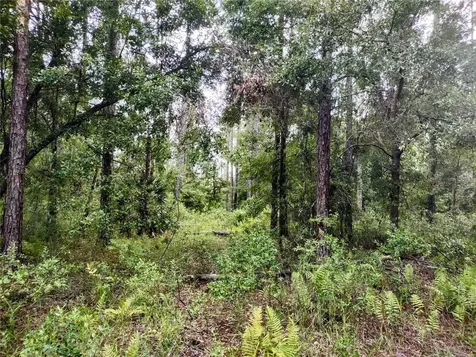 4651 NE 108th Place Chiefland FL 32626
