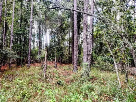 4651 NE 108th Place Chiefland FL 32626