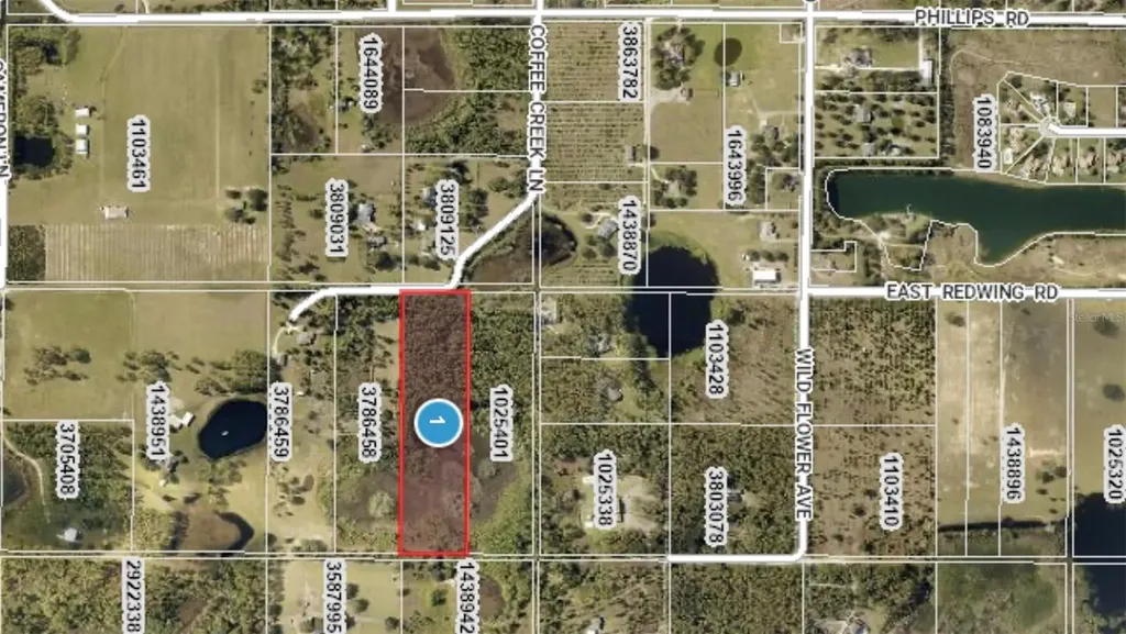 00 Coffee Creek Lane Groveland FL 34736