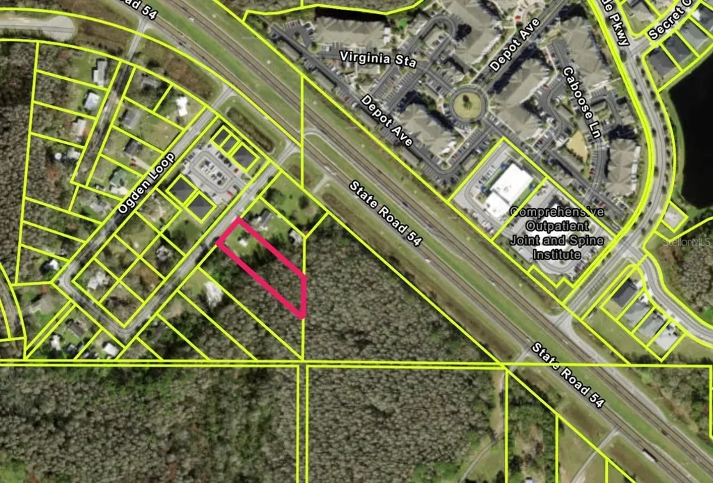 14969 Ogden Loop Odessa FL 33556