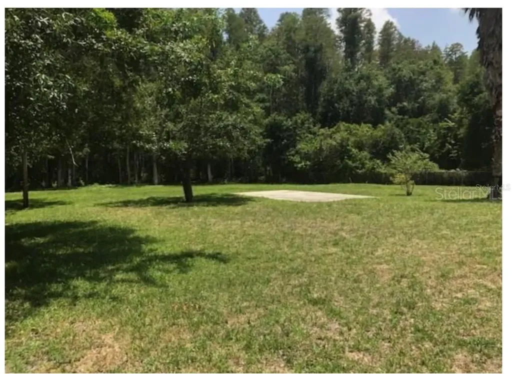 14969 Ogden Loop Odessa FL 33556