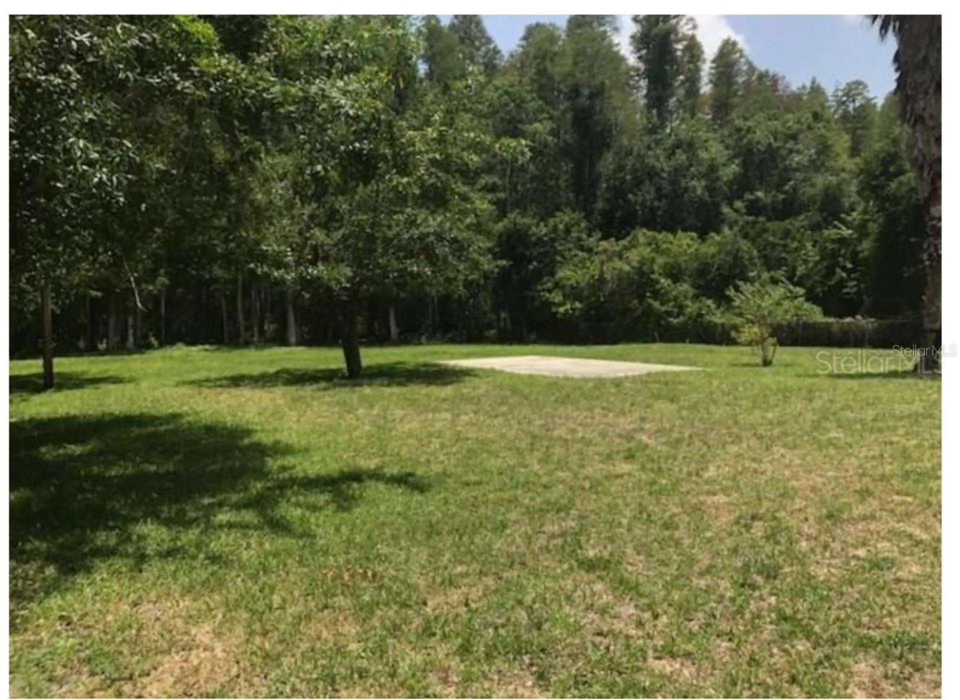 14969 Ogden Loop Odessa FL 33556