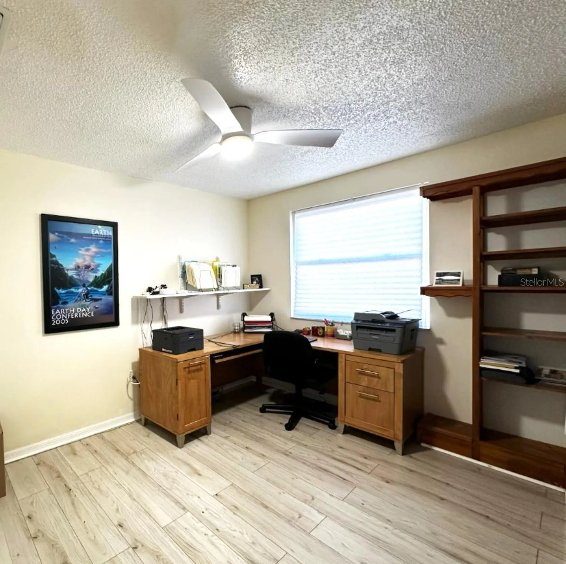 1737 Solon Avenue Dunedin FL 34698