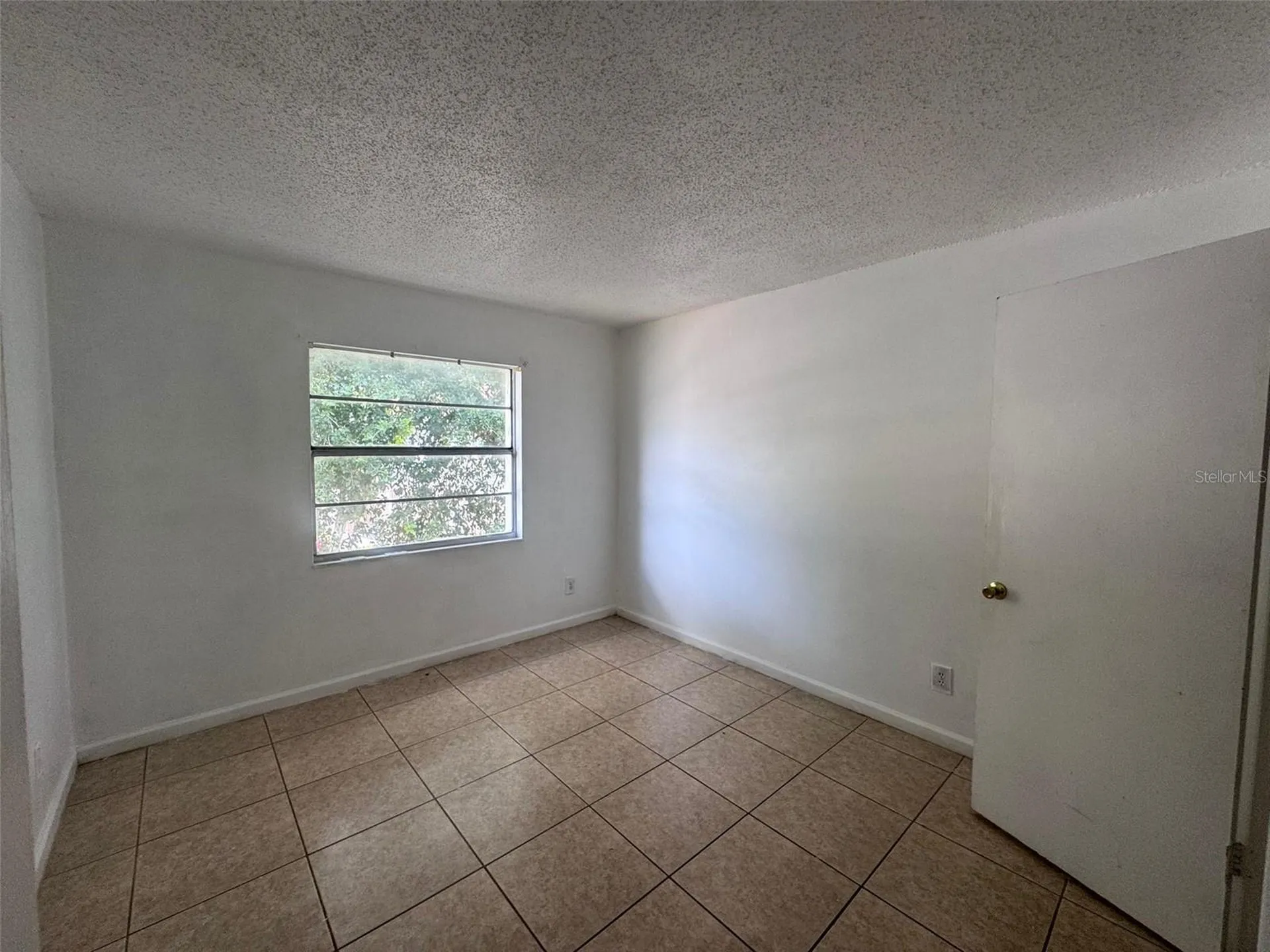 7210 N Manhattan Avenue Tampa FL 33614