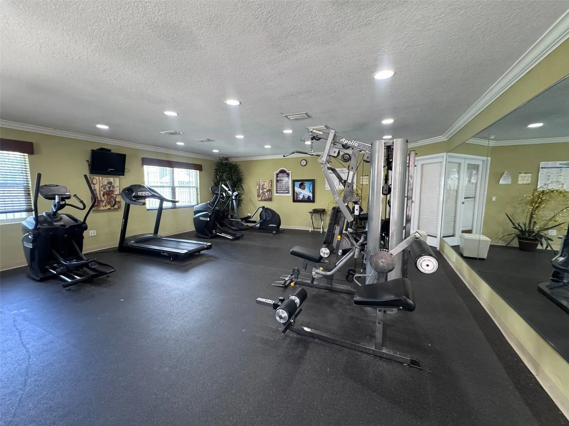 7210 N Manhattan Avenue Tampa FL 33614