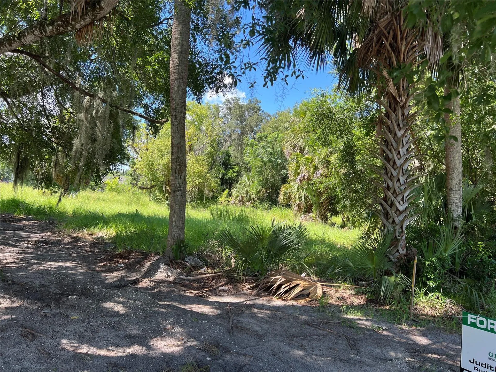 104 W Michael Gladden Boulevard Apopka FL 32703