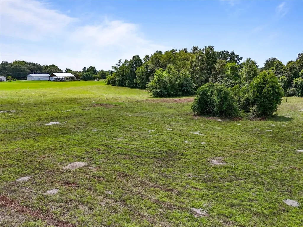 SW 157th Terrace Archer FL 32618