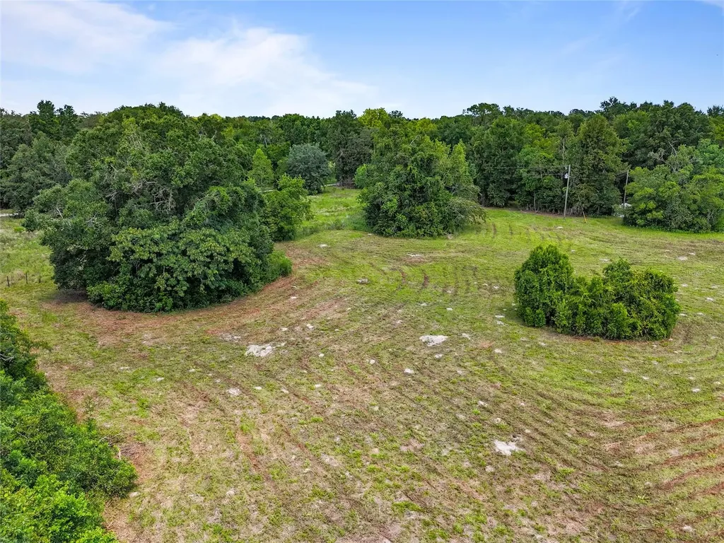 SW 157th Terrace Archer FL 32618