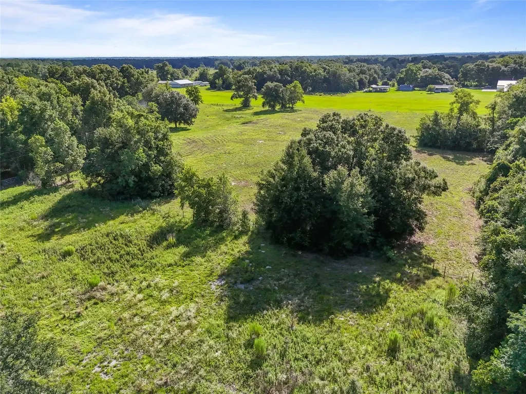 SW 157th Terrace Archer FL 32618