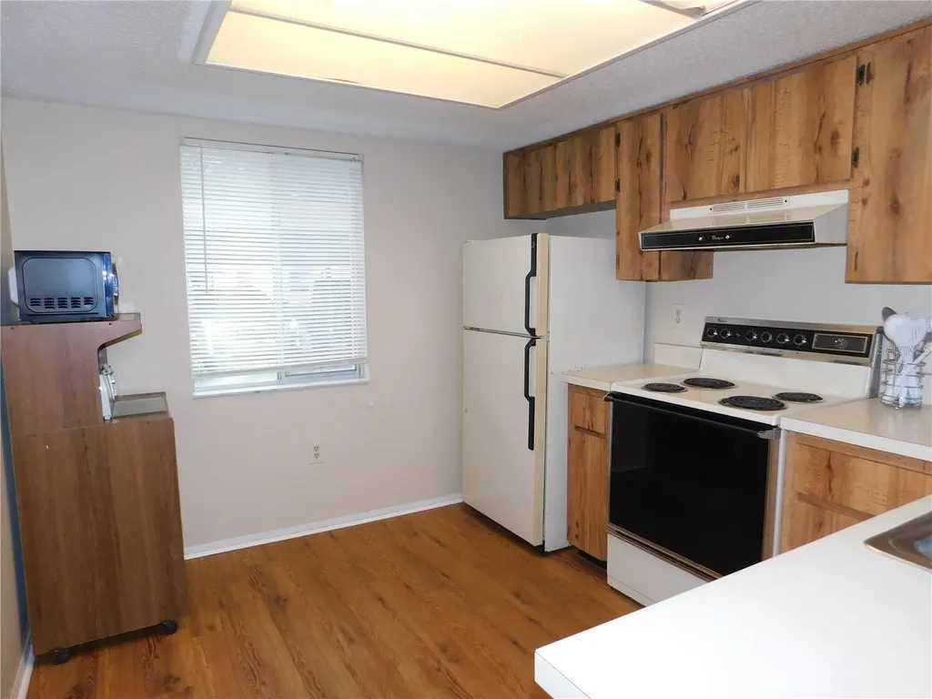105 Palmetto Court Oldsmar FL 34677