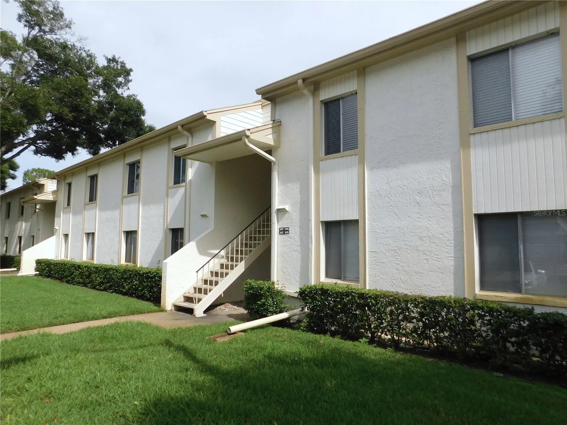 105 Palmetto Court Oldsmar FL 34677
