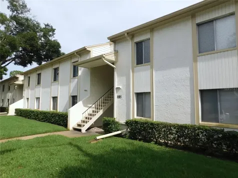 105 Palmetto Court Oldsmar FL 34677