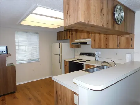 105 Palmetto Court Oldsmar FL 34677