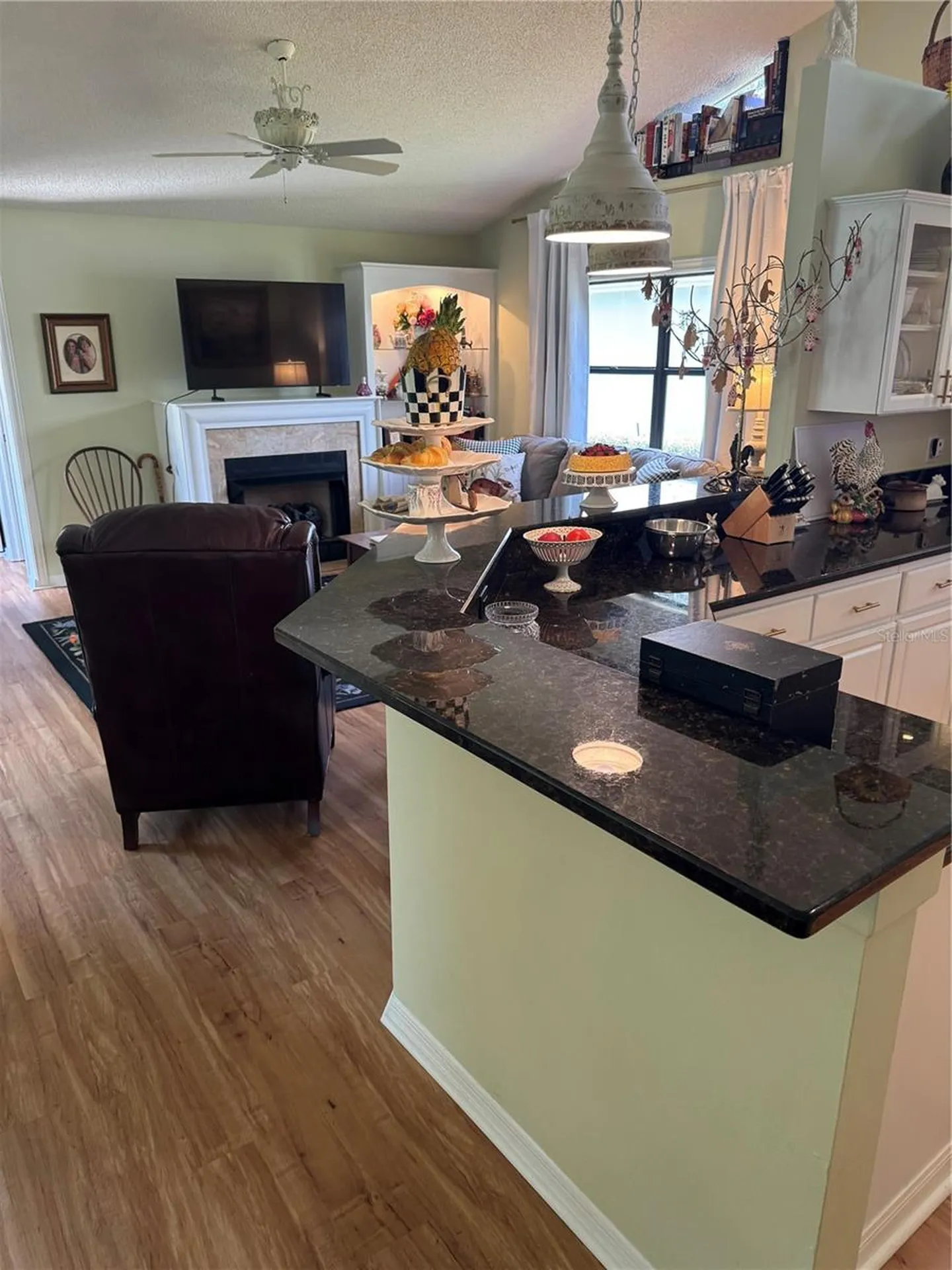 7360 Clearmeadow Drive Spring Hill FL 34606