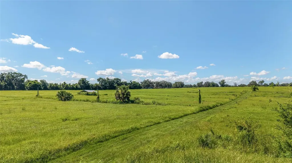 5800 SE 145th Street Summerfield FL 34491