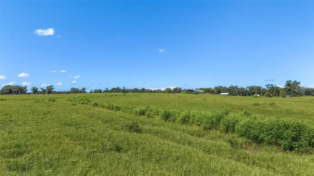 5800 SE 145th Street Summerfield FL 34491