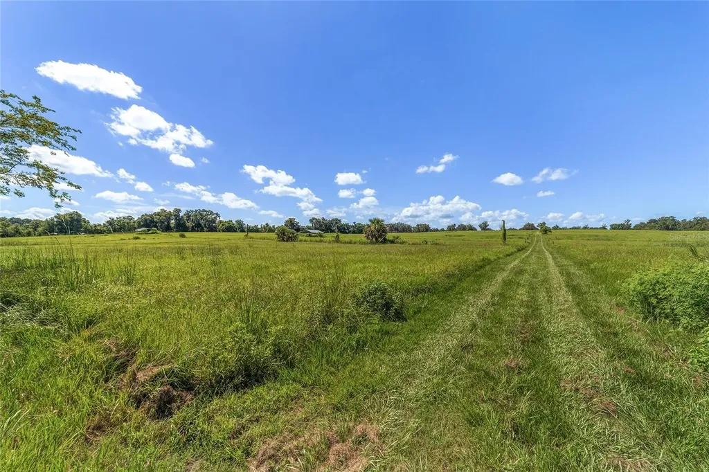5800 SE 145th Street Summerfield FL 34491