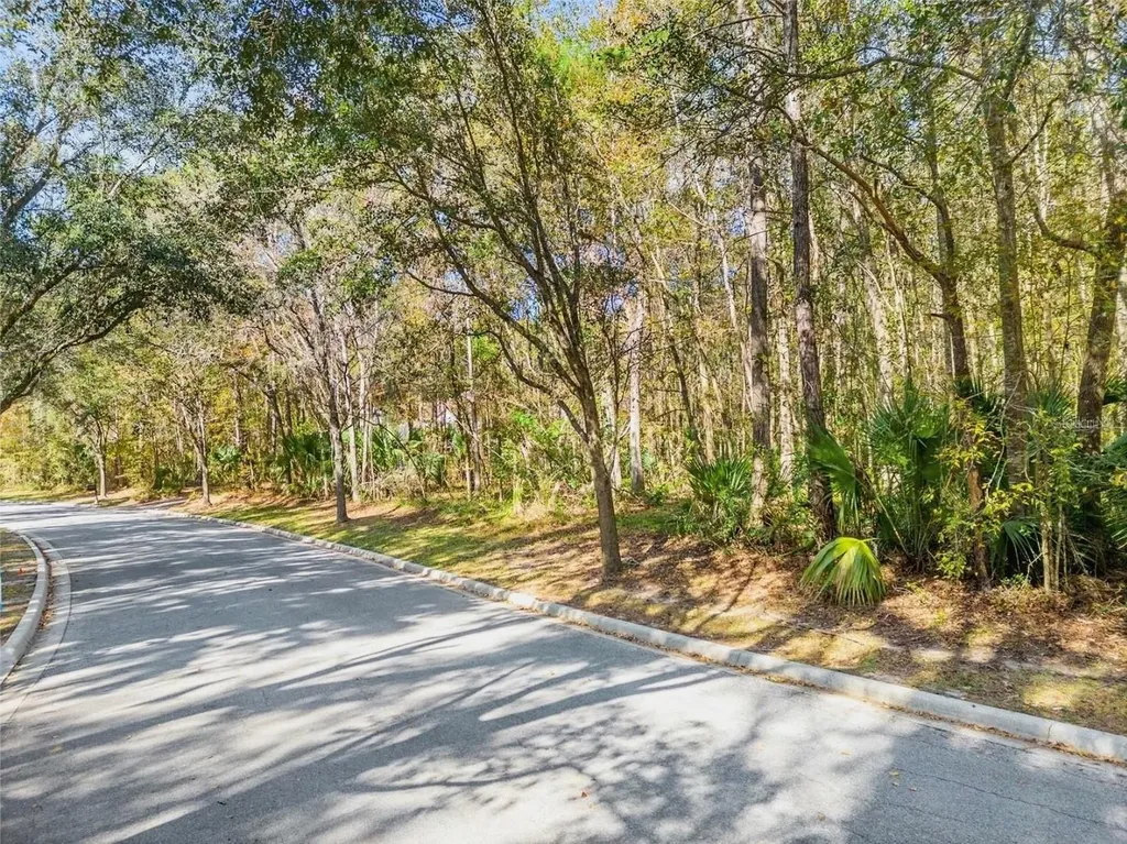 Tbd SW 37th Place Road Ocala FL 34471