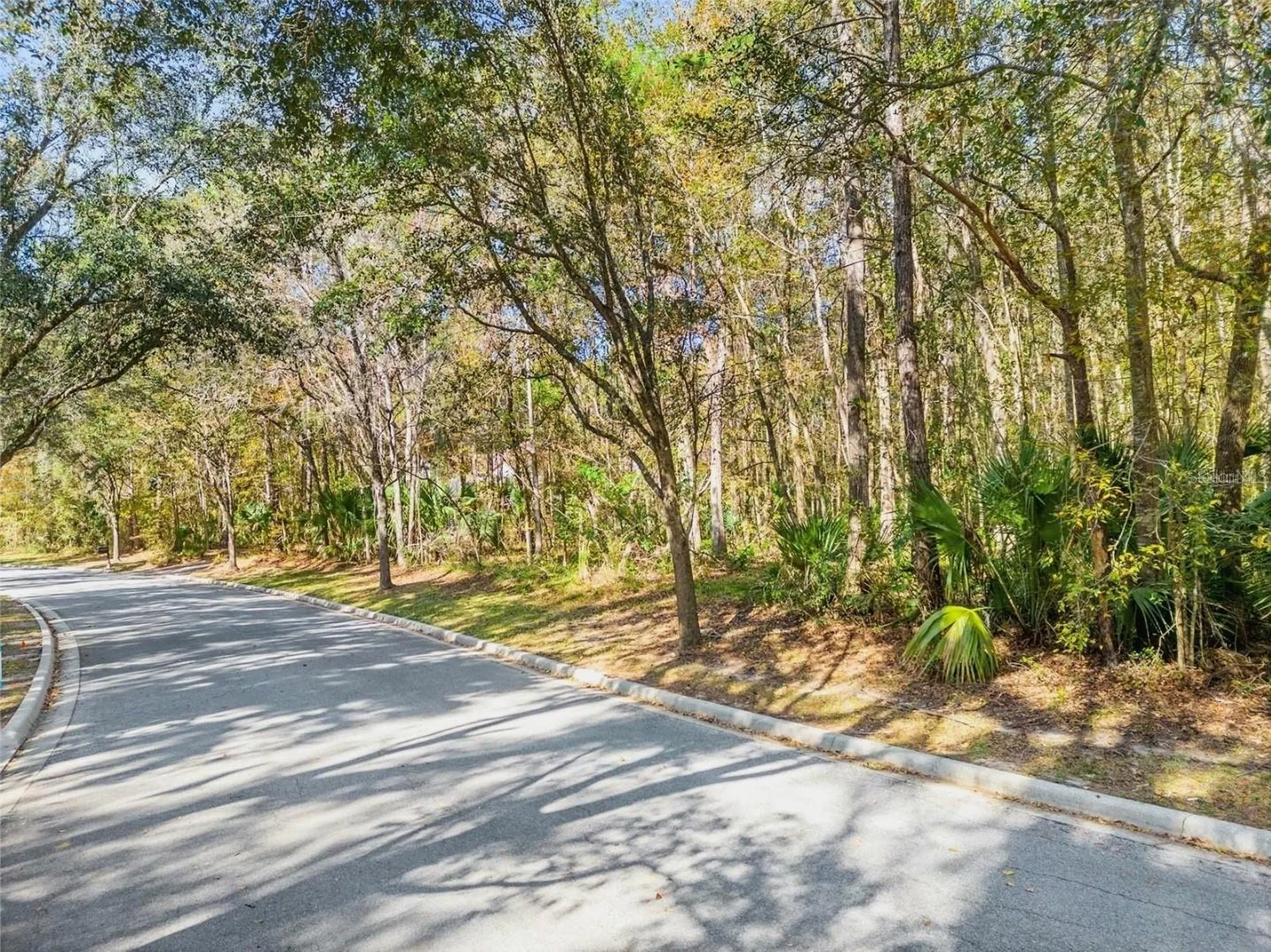 Tbd SW 37th Place Road Ocala FL 34471