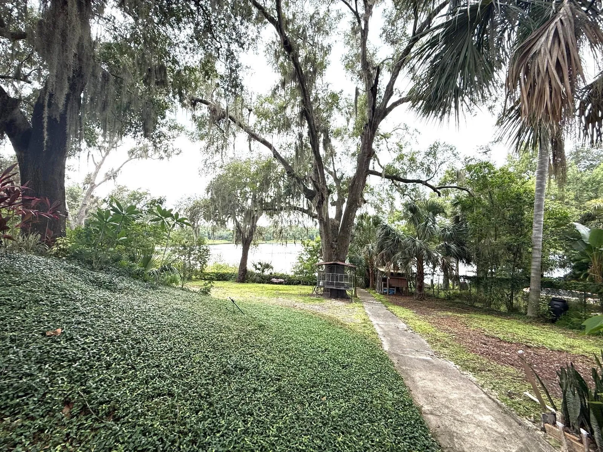 3785 Picciola Road Leesburg FL 34748