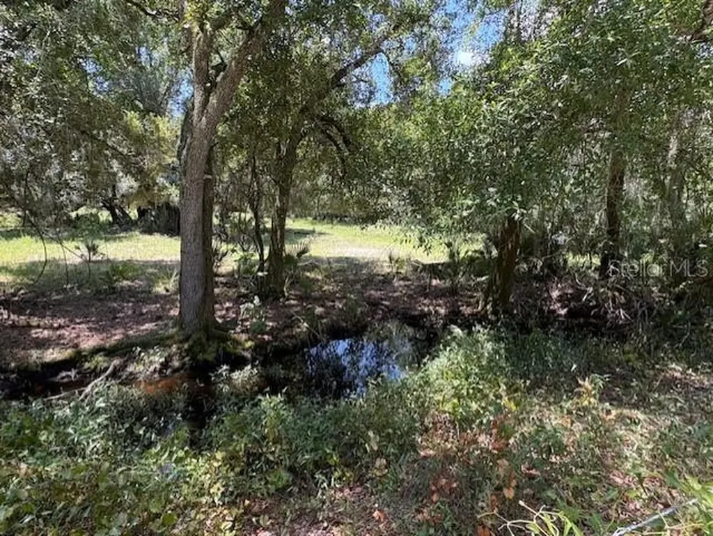 10613 SE Foster Avenue Arcadia FL 34266