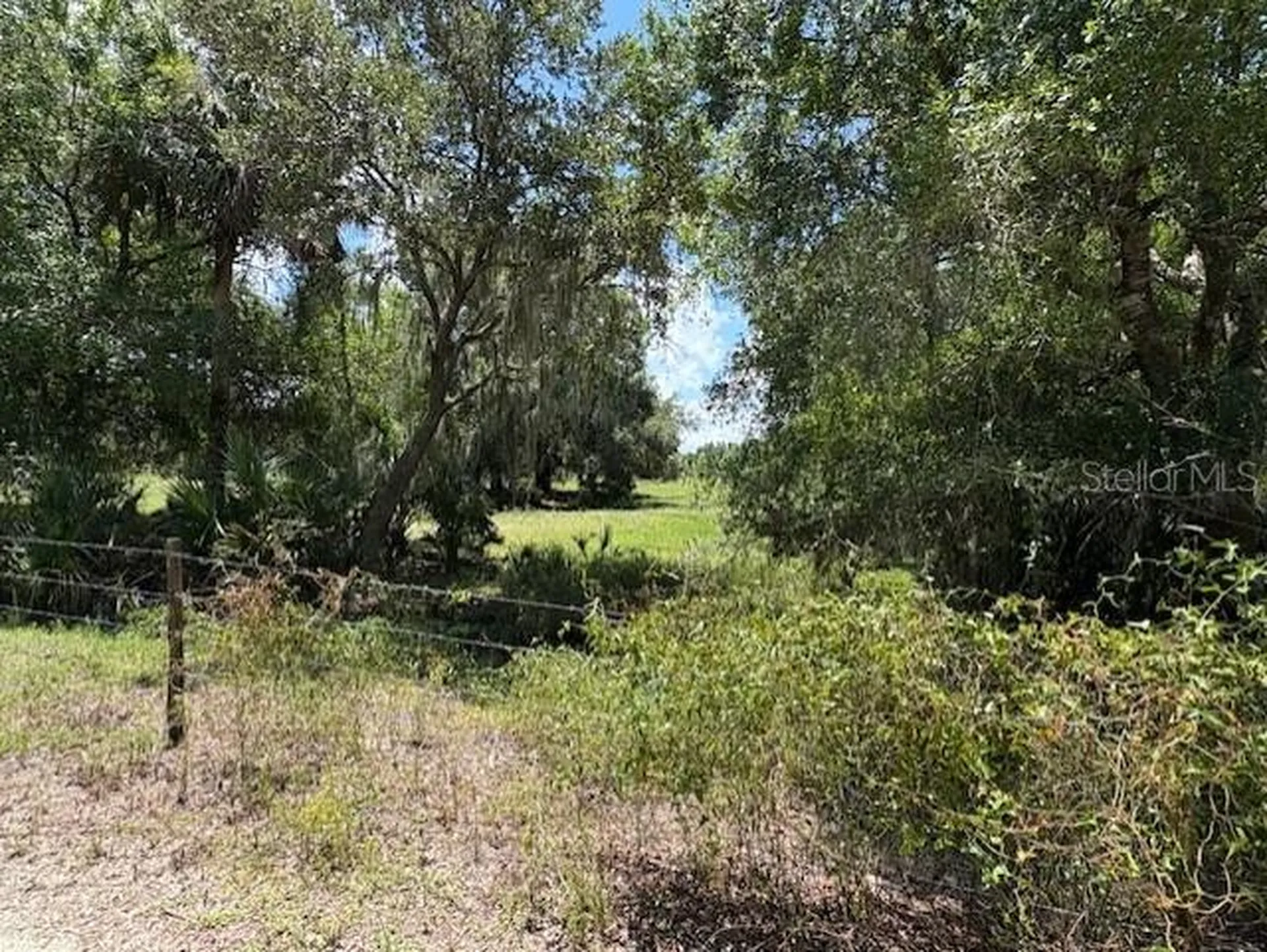 10613 SE Foster Avenue Arcadia FL 34266