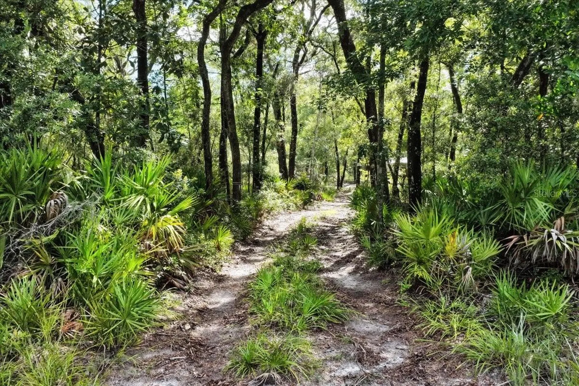 0000 SW County Road 347 Chiefland FL 32626