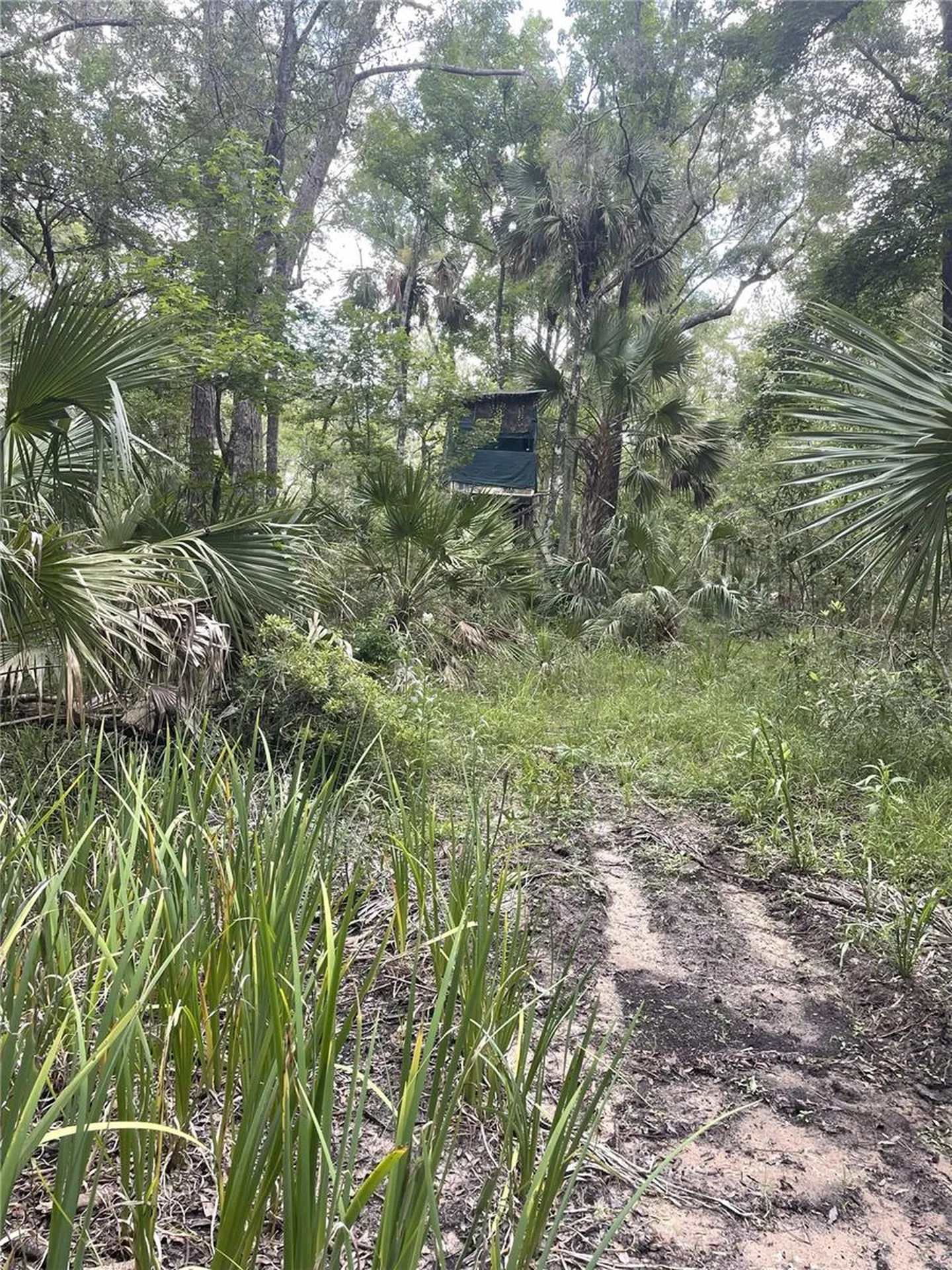 0000 SW County Road 347 Chiefland FL 32626