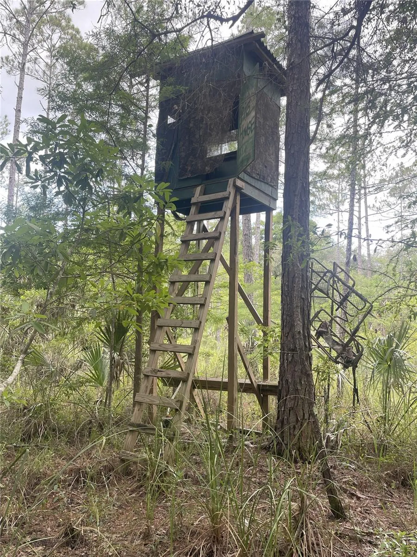 0000 SW County Road 347 Chiefland FL 32626