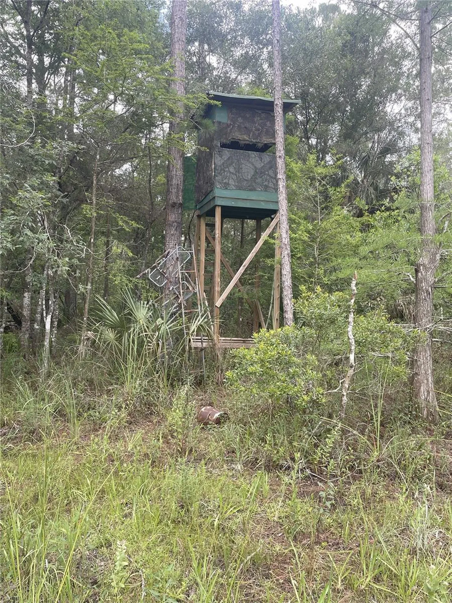 0000 SW County Road 347 Chiefland FL 32626