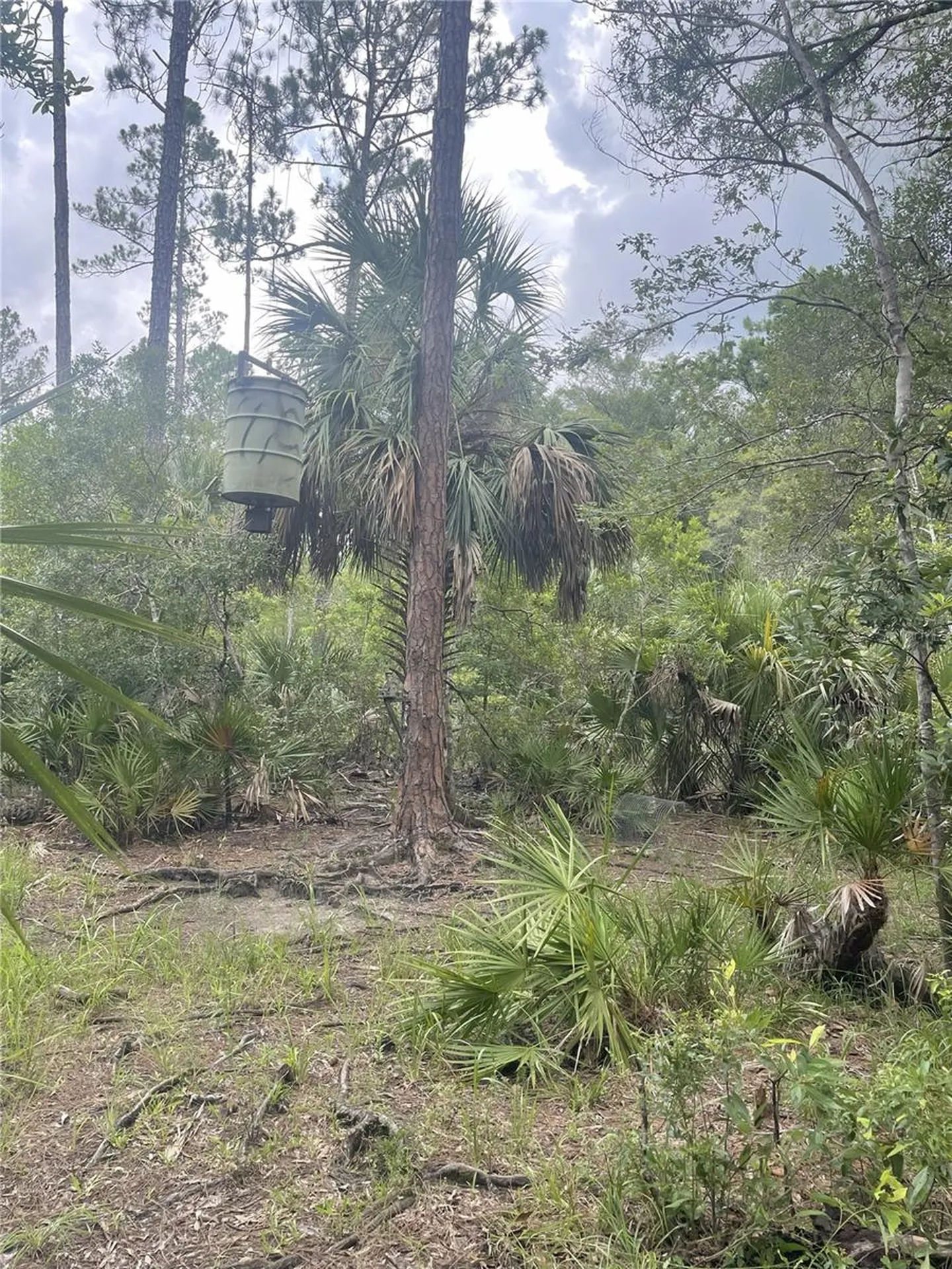 0000 SW County Road 347 Chiefland FL 32626