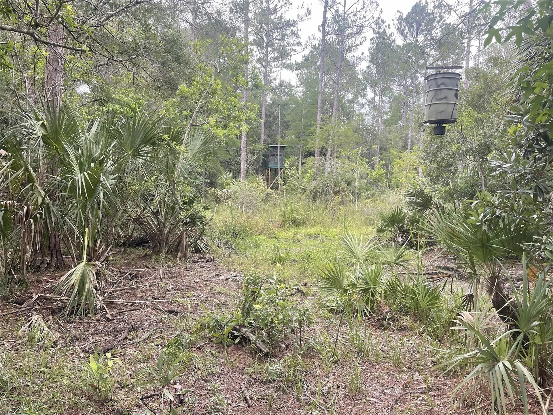 0000 SW County Road 347 Chiefland FL 32626