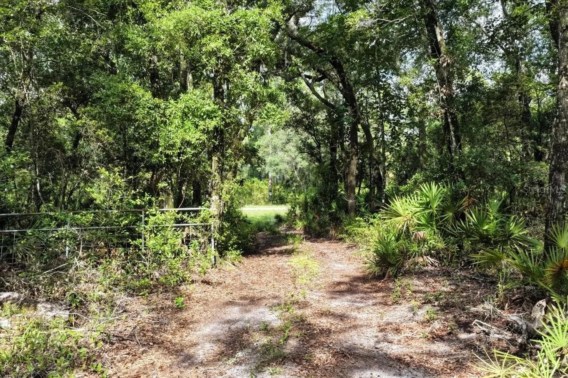 0000 SW County Road 347 Chiefland FL 32626