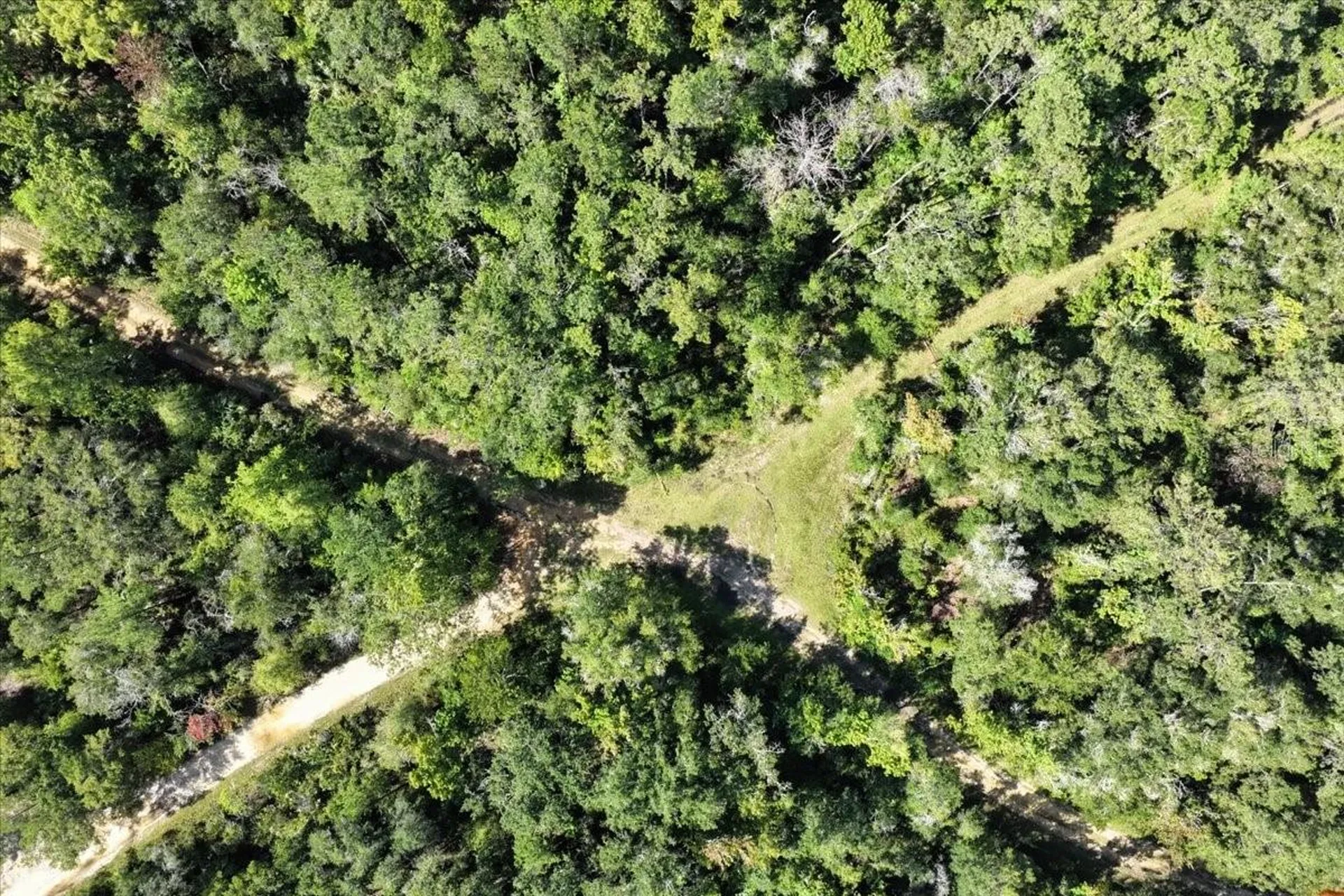 0000 SW County Road 347 Chiefland FL 32626