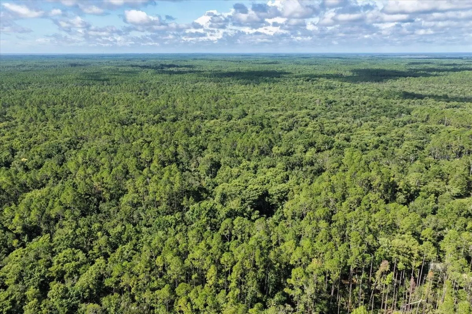 0000 SW County Road 347 Chiefland FL 32626