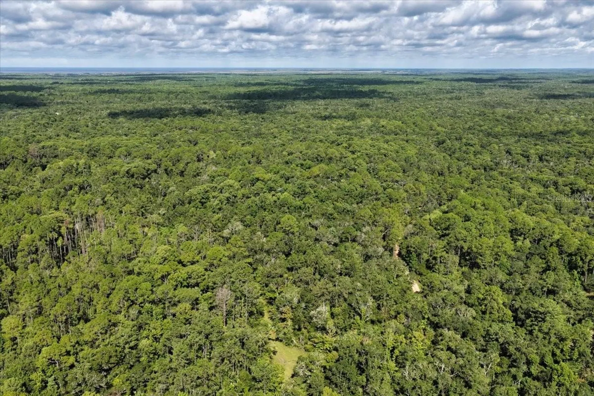 0000 SW County Road 347 Chiefland FL 32626