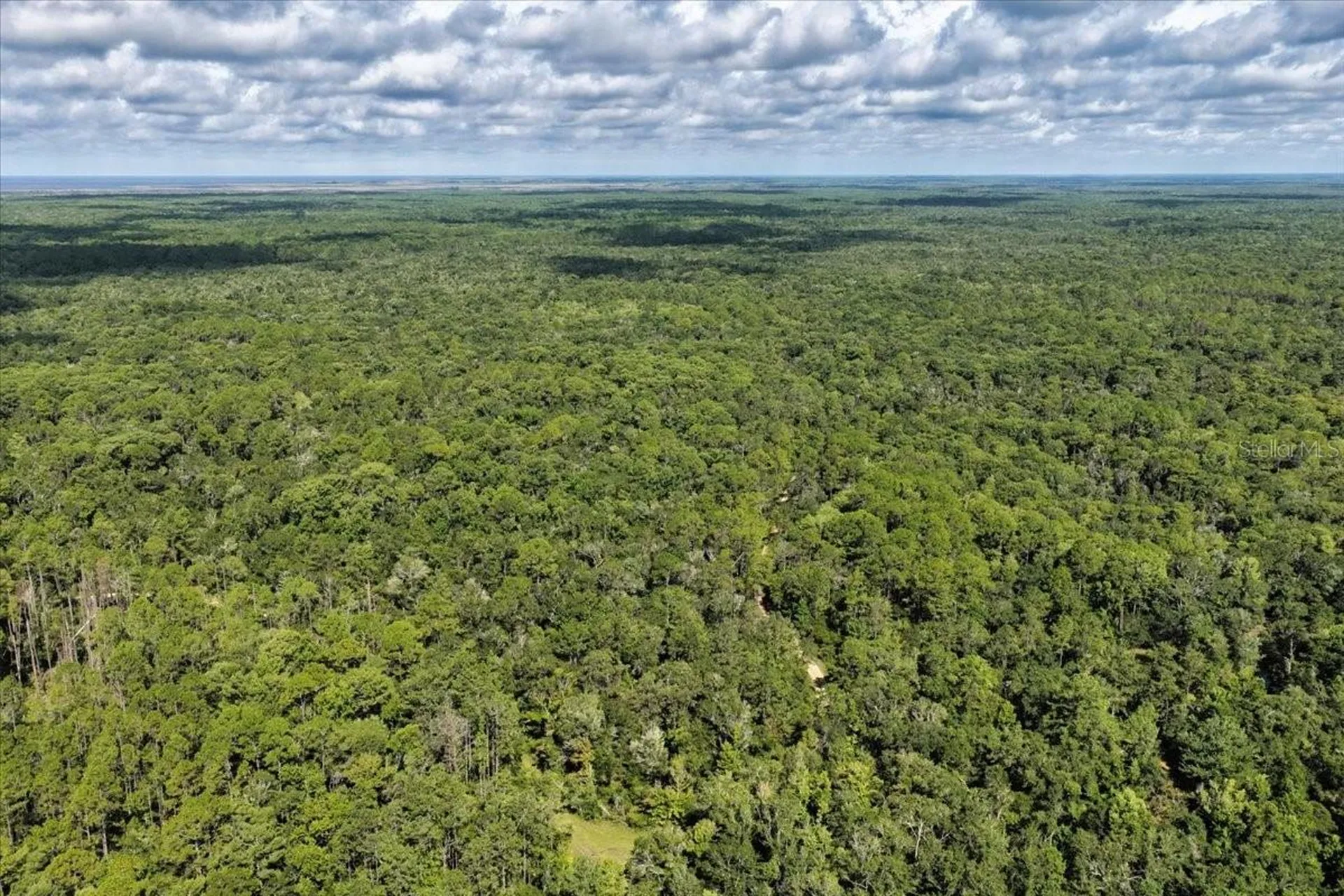 0000 SW County Road 347 Chiefland FL 32626