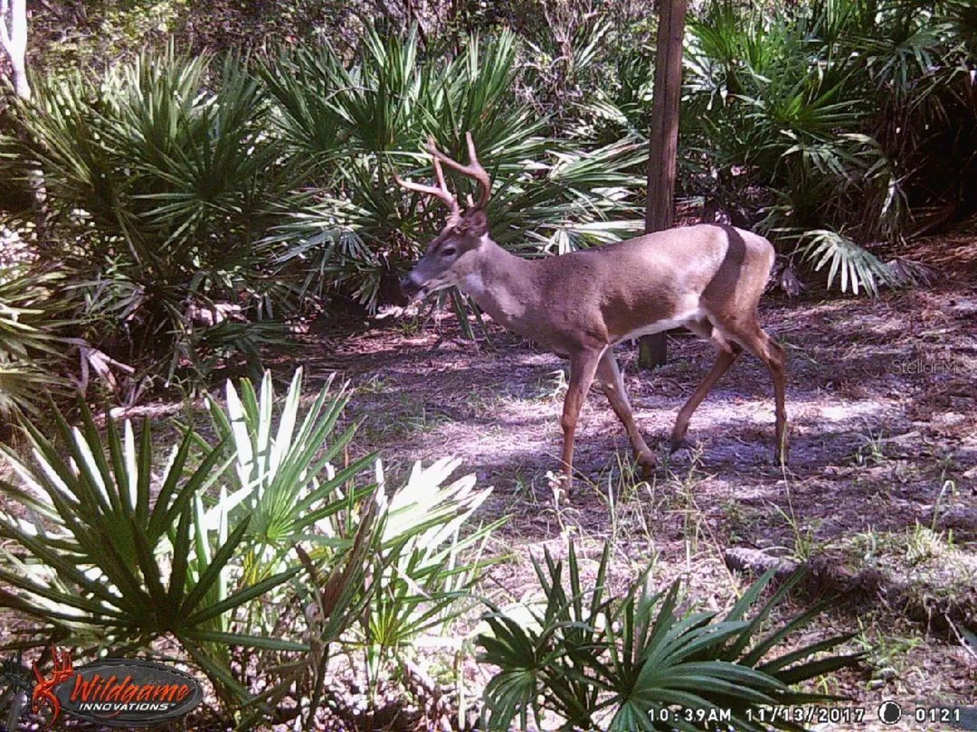 0000 SW County Road 347 Chiefland FL 32626