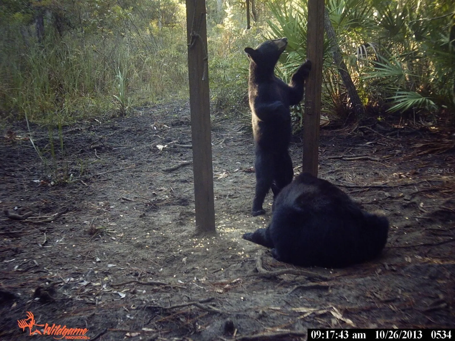 0000 SW County Road 347 Chiefland FL 32626