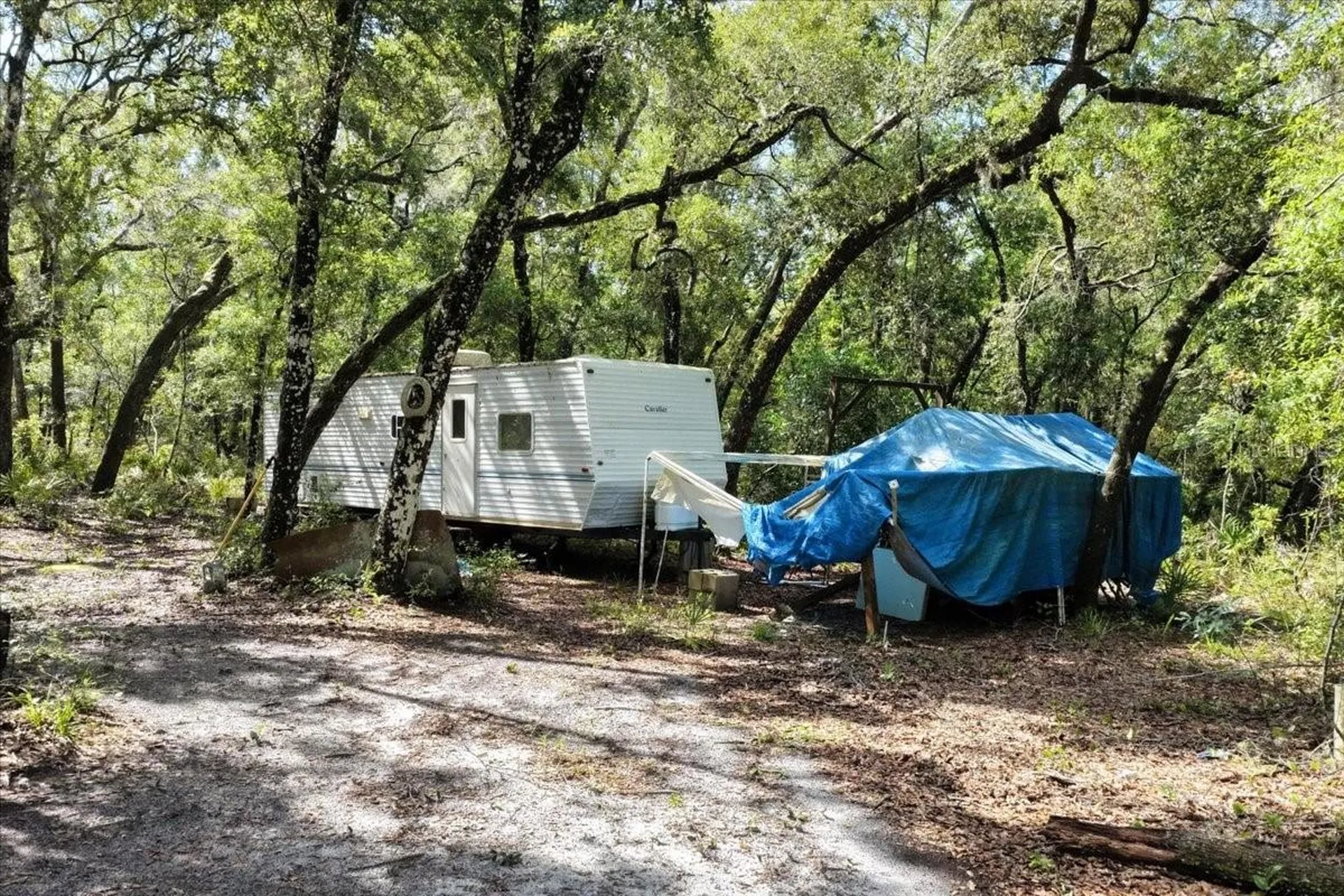 0000 SW County Road 347 Chiefland FL 32626