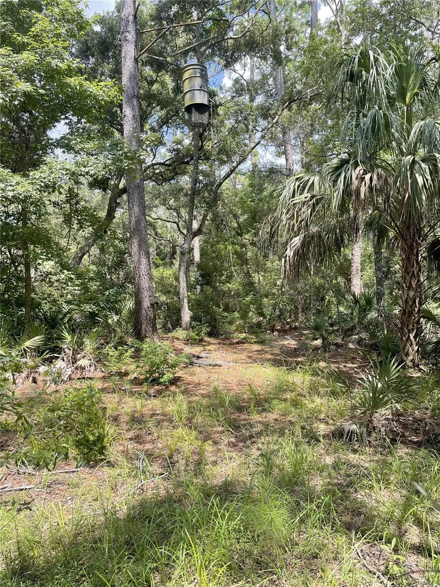 0000 SW County Road 347 Chiefland FL 32626