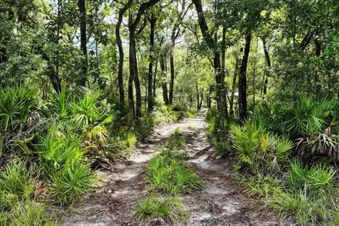 0000 SW County Road 347 Chiefland FL 32626