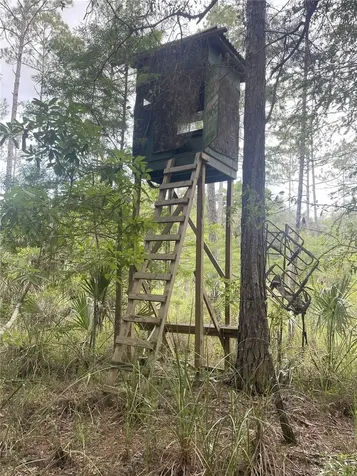 0000 SW County Road 347 Chiefland FL 32626