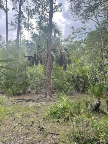 0000 SW County Road 347 Chiefland FL 32626