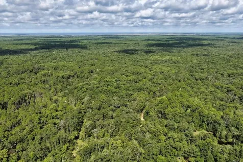 0000 SW County Road 347 Chiefland FL 32626