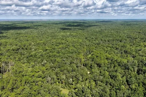 0000 SW County Road 347 Chiefland FL 32626