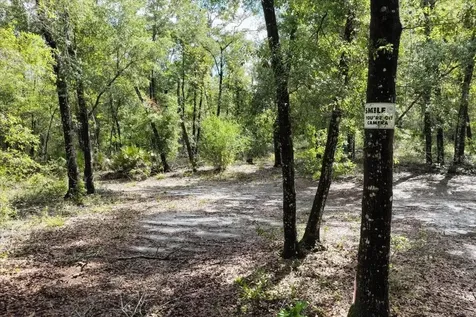 0000 SW County Road 347 Chiefland FL 32626
