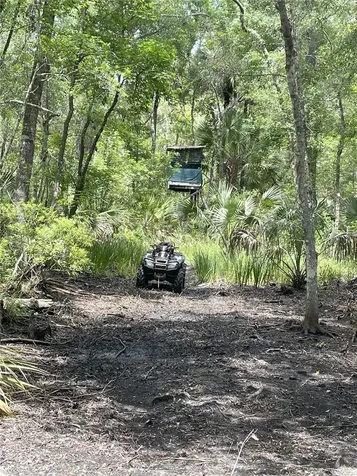 0000 SW County Road 347 Chiefland FL 32626