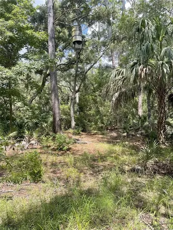 0000 SW County Road 347 Chiefland FL 32626