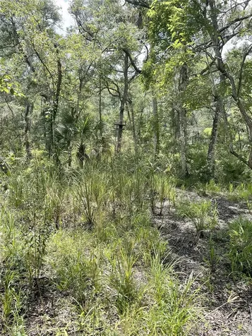 0000 SW County Road 347 Chiefland FL 32626